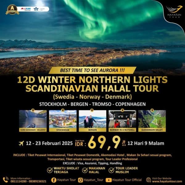 Winter northern lights scandinavian halal tour